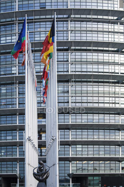 Flaggen der Mitgliedsstaaten, im Hintergrund das Europäische Parlament, Stras — Stockfoto