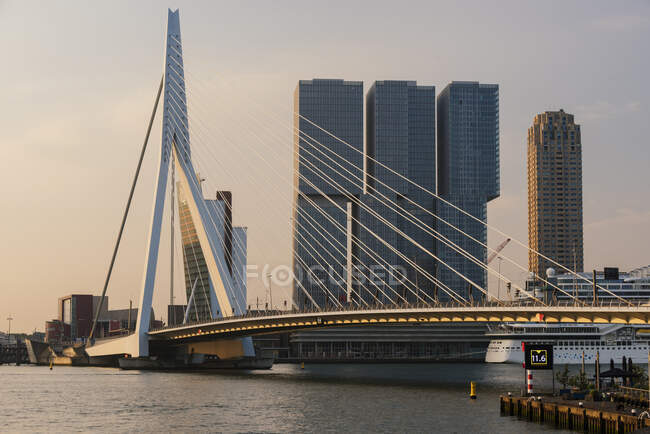 Мост Эразмус, Роттердам, Нидерланды — стоковое фото