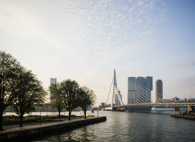 Erasmus Bridge, Rotterdam, Países Bajos - foto de stock