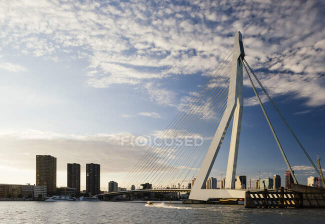 Erasmus Bridge, Wilhelminakade, Roterdão, Países Baixos — Fotografia de Stock