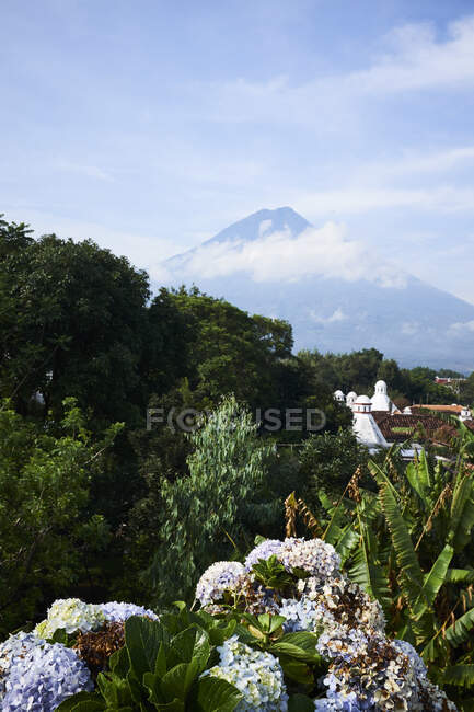 Distant view of mountains and low clouds beyond garden, Antigua, — Stock Photo