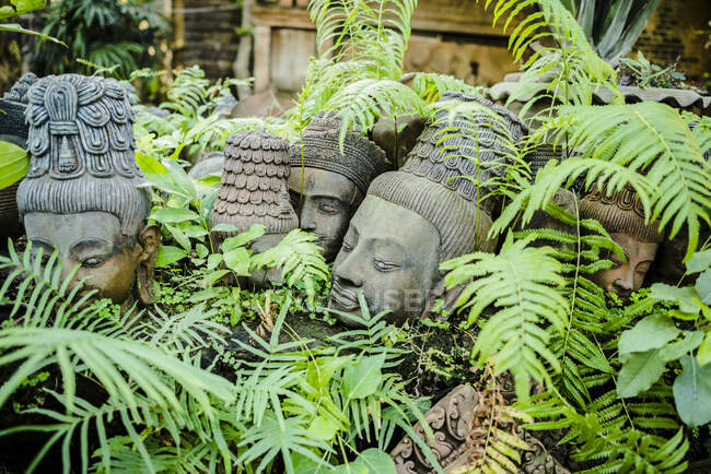 Esculturas de cabeza de terracota en el jardín en Clay Studio Coffee In Th - foto de stock