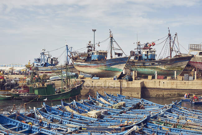 Filas de botes de remos azules y botes de pesca, pesca de Essaouira p - foto de stock