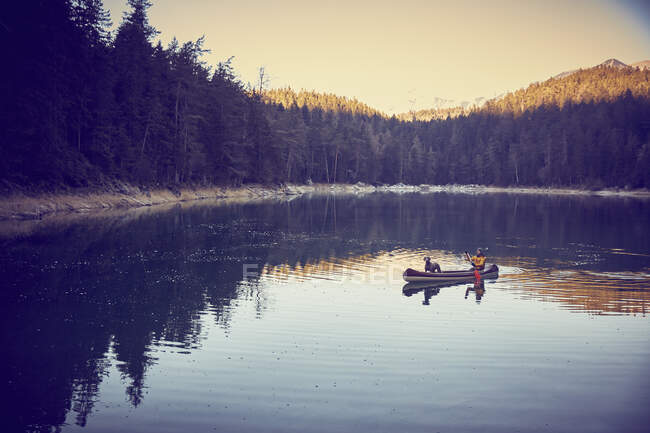 Remo y perro en canoa, Lago Eibsee en la base de Zugspitze, Garmis - foto de stock