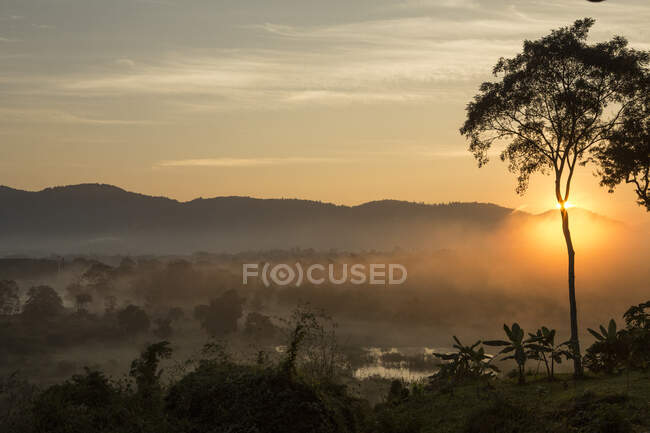 Salida del sol sobre Myanmar y Laos y el río Ruak, Triángulo Dorado, C - foto de stock