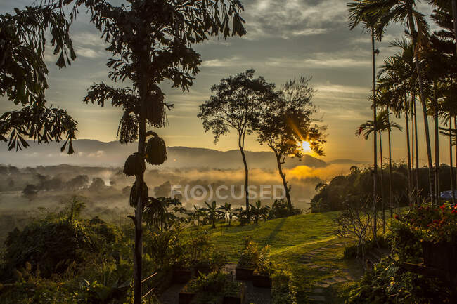 Salida del sol sobre Myanmar y Laos y el río Ruak, Triángulo Dorado, C - foto de stock