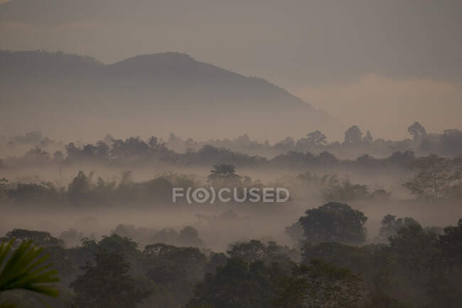 Amanhecer nebuloso sobre o Laos, Triângulo Dourado, Chiang Rai, Tailândia — Fotografia de Stock