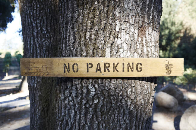 De madeira sem sinal de estacionamento na árvore, Califórnia, EUA — Fotografia de Stock