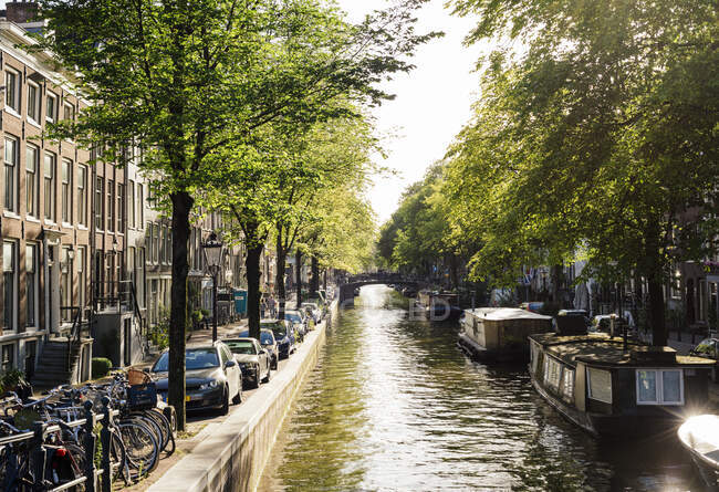 Канал, район Иордан, Амстердам, Нидерланды — стоковое фото
