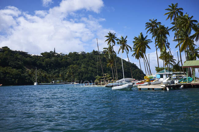 Szenische Aussicht, Saint Lucia, Karibik — Stockfoto