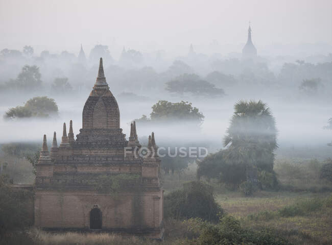 Misty stone pagodas, Bagan, Región de Mandalay, Myanmar - foto de stock