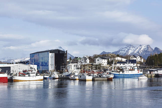 Entrepôts des pêcheurs, Lofoten, Nordland, Norvège — Photo de stock