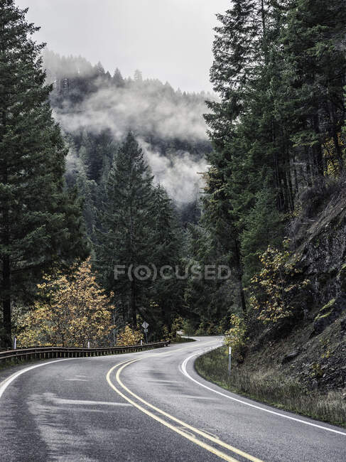 Umpqua National Forest winding highway, Oregon, EE.UU. - foto de stock