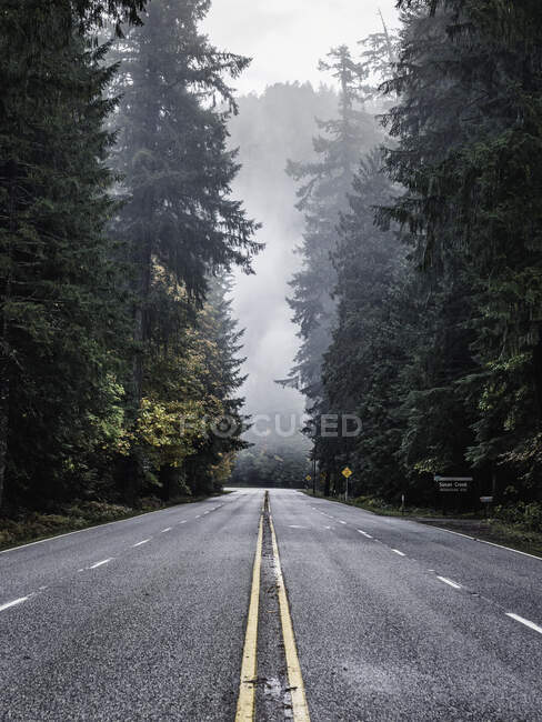 Umpqua National Forest highway and mist, Oregon, EE.UU. - foto de stock