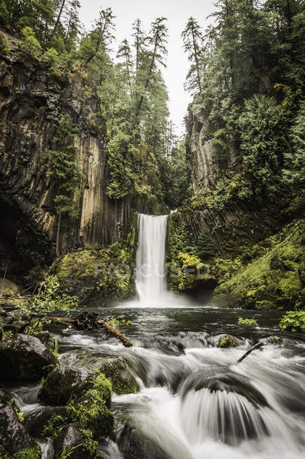 Вид на водоспад Токеті; Національний ліс Умпква, Орегон, США — стокове фото