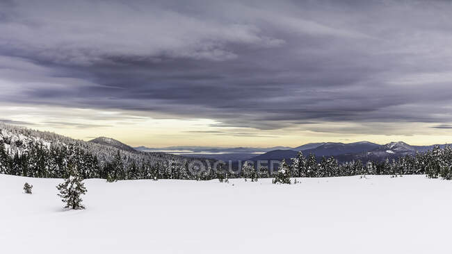 Vista del Parque Nacional del Lago del Cráter cubierto de nieve, Oregon, EE.UU. - foto de stock