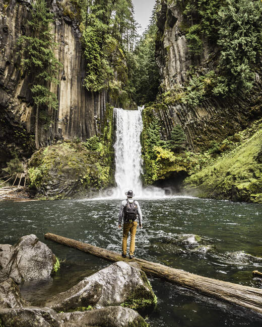 Uomo in piedi sul tronco guardando Toketee Falls; Umpqua National Fo — Foto stock