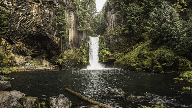 Вид на водопад Токети; Национальный лес Умпква, Орегон, США — стоковое фото