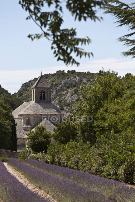 Abbazia di Senanque, Gordes, Provenza Alpi Costa Azzurra, Francia, Euro — Foto stock