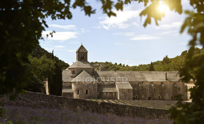 Senanque Abbey, Gordes, Provence Alpes Cote d'Azur, France, Euro — Stock Photo
