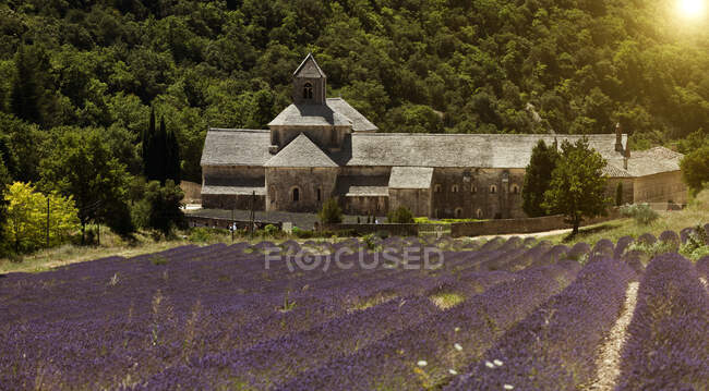 Abadía de Senanque, Gordes, Provenza Alpes Costa Azul, Francia, Euro - foto de stock