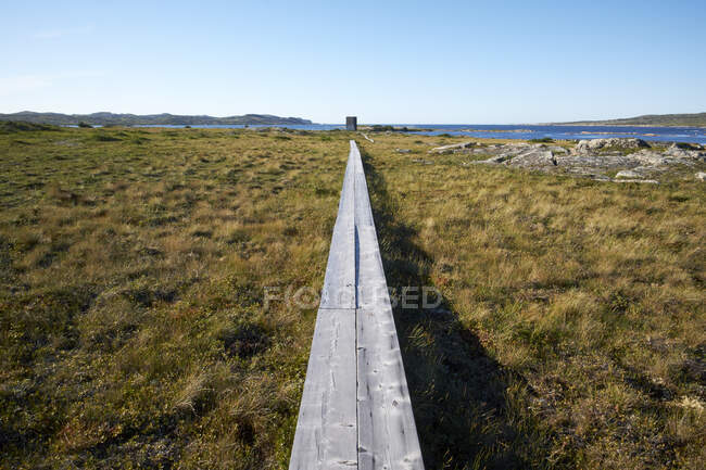 Passarela de madeira levantada perto da costa, ilha de Fogo, Canadá — Fotografia de Stock