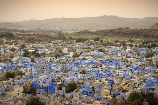 Paisagem urbana elevada com edifícios pintados de azul, Jodhpur, Rajasth — Fotografia de Stock