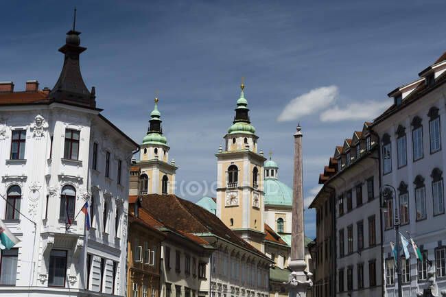 Міська площа і собор Святого Миколая, Любляни, Бреза — стокове фото