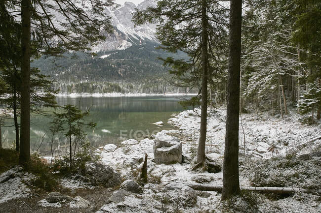Snowy landscape with forests around Lake Eibsee, Zugspitze, Bava — Stock Photo