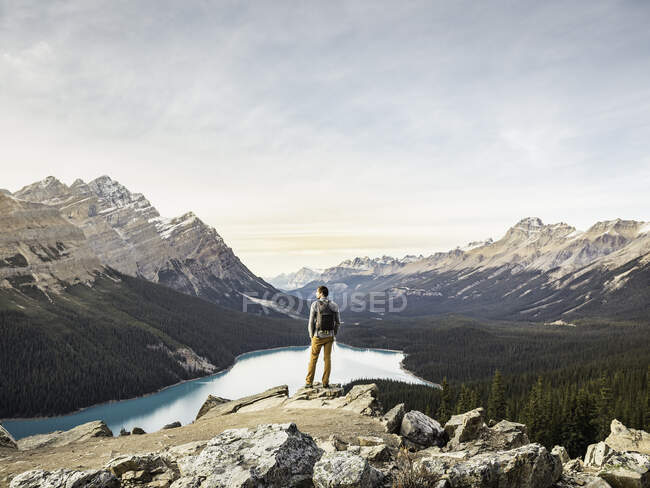 Hombre de pie, mirando a la vista, mirador con vistas al lago Peyto, - foto de stock