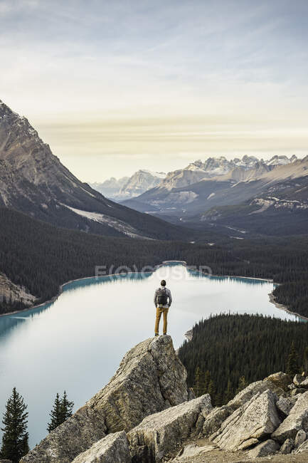 Uomo in piedi, guardando la vista, punto di vista che si affaccia sul lago Peyto, — Foto stock