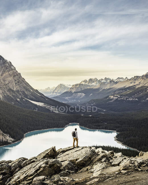 Hombre de pie, mirando a la vista, mirador con vistas al lago Peyto, - foto de stock