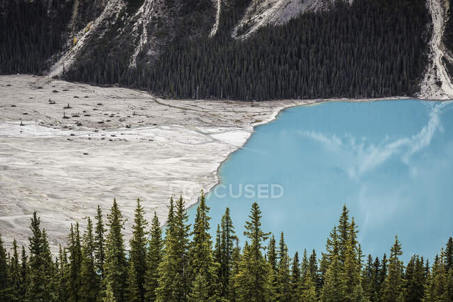 Point de vue surplombant le lac Peyto, Lake Louise, Alberta, Canada — Photo de stock