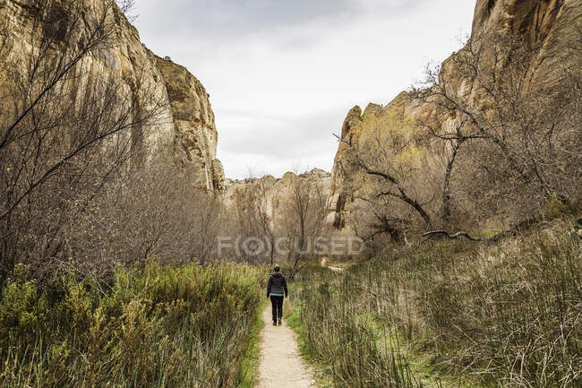 Escursioni donna, Vista posteriore, Calf Creek Falls near Escalante, Utah, — Foto stock