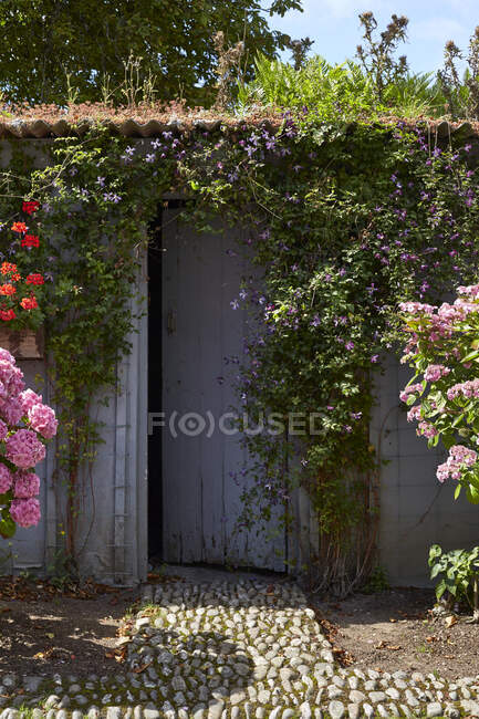 Puerta cubierta de flores, Shanagarry, Irlanda - foto de stock