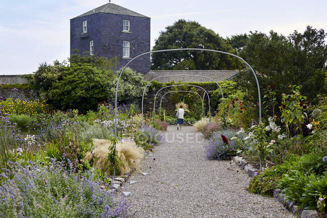 Сади (Шанагаррі, Ірландія) вдень — стокове фото