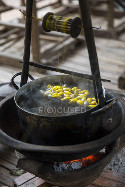 Casulos de bicho-da-seda (Bombyx mori) em panela de vapor, Phnom Penh, — Fotografia de Stock