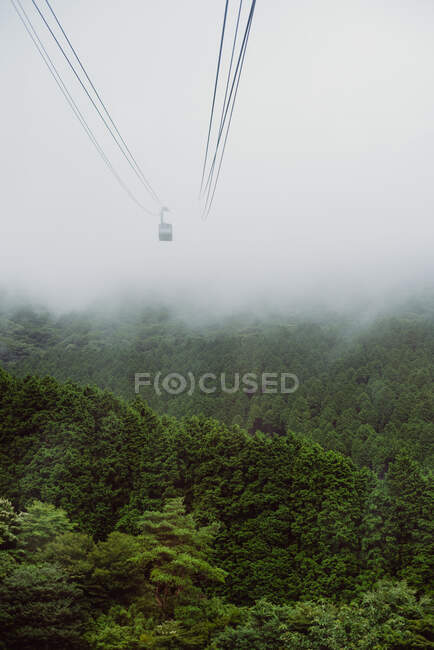 Кабельний автомобіль над густим лісом, Футтсу, Чіба, Японія. — стокове фото
