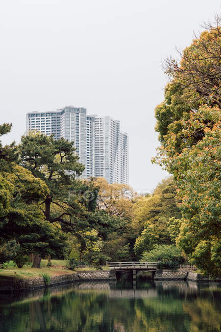 Serene scene of lake with high-rise buildings in background, Tok — Stock Photo
