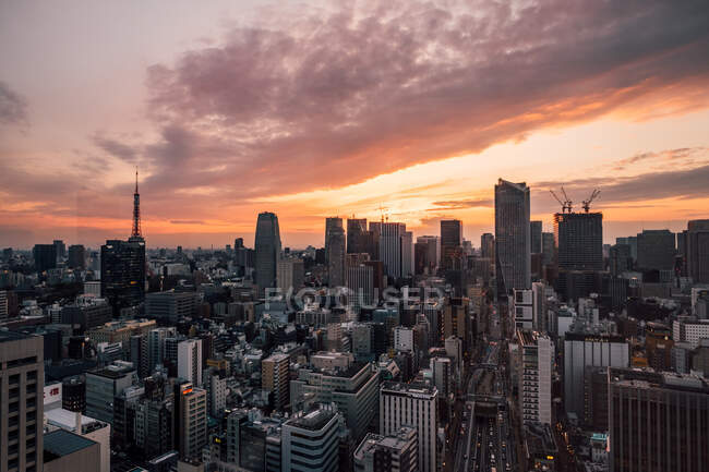 Luftaufnahme einer dicht besiedelten Stadt, Tokio, Japan — Stockfoto