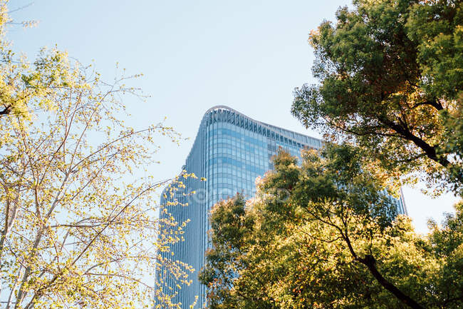 Árboles contra fachada de edificio de gran altura, Tokio, Japón - foto de stock