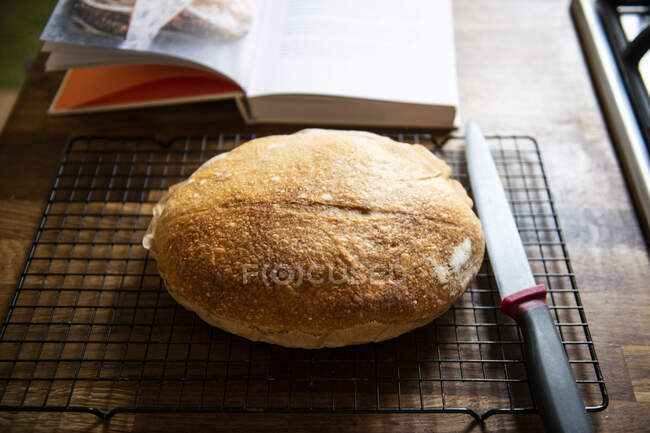 High angle close up of freshly baked sourdough bread. — Stock Photo