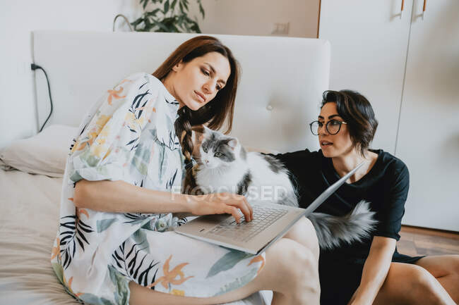 Due donne con capelli castani sedute in soggiorno con gatto, utilizzando il computer portatile. — Foto stock