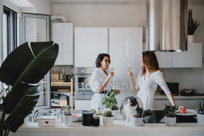 Deux femmes souriantes aux cheveux bruns debout dans une cuisine, buvant du vin blanc. — Photo de stock