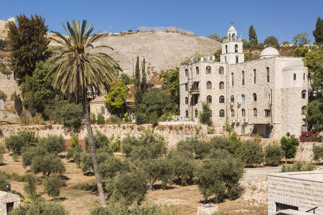 Кладбище с оливковыми деревьями у подножия укрепленной каменной стены Старого города Иерусалима, Израиль. — стоковое фото