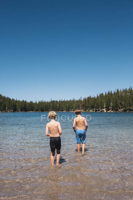 Rear view of two boys in swim shorts standing in Lake Mary, Mammoth Lakes, California, USA. — Stock Photo