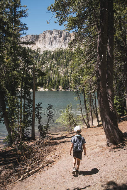 Vue arrière d'un garçon marchant dans une forêt près du lac Mary, Mammoth Lakes, Californie, États-Unis. — Photo de stock