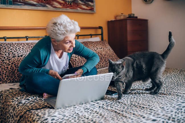 Жінка на ліжку з ноутбуком і домашньою кішкою — стокове фото