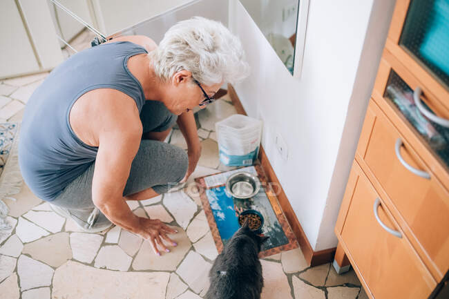 Mulher dando comida para seu gato — Fotografia de Stock