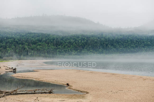 Woman by water, scenic stop on travels, Ontario, Canada — Stock Photo